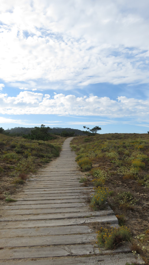 Wandelpad door de open natuur aan de Portugese Zilverkust
